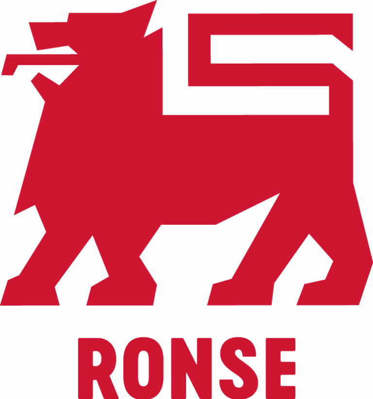 Logo Delhaize Ronse
