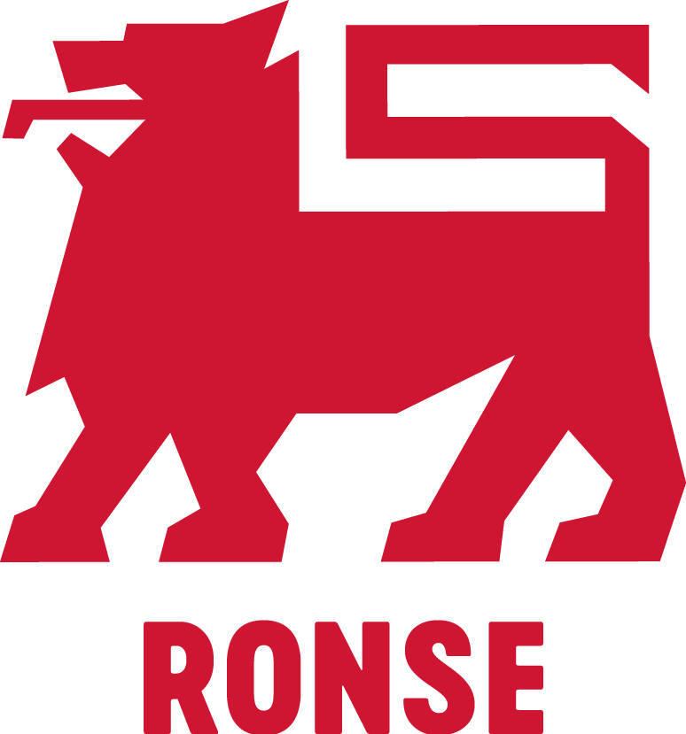 Logo Delhaize Ronse