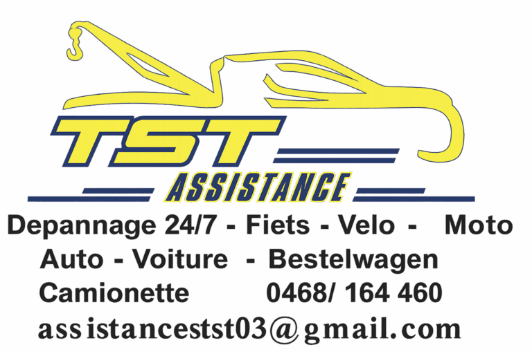 Logo TST Cars