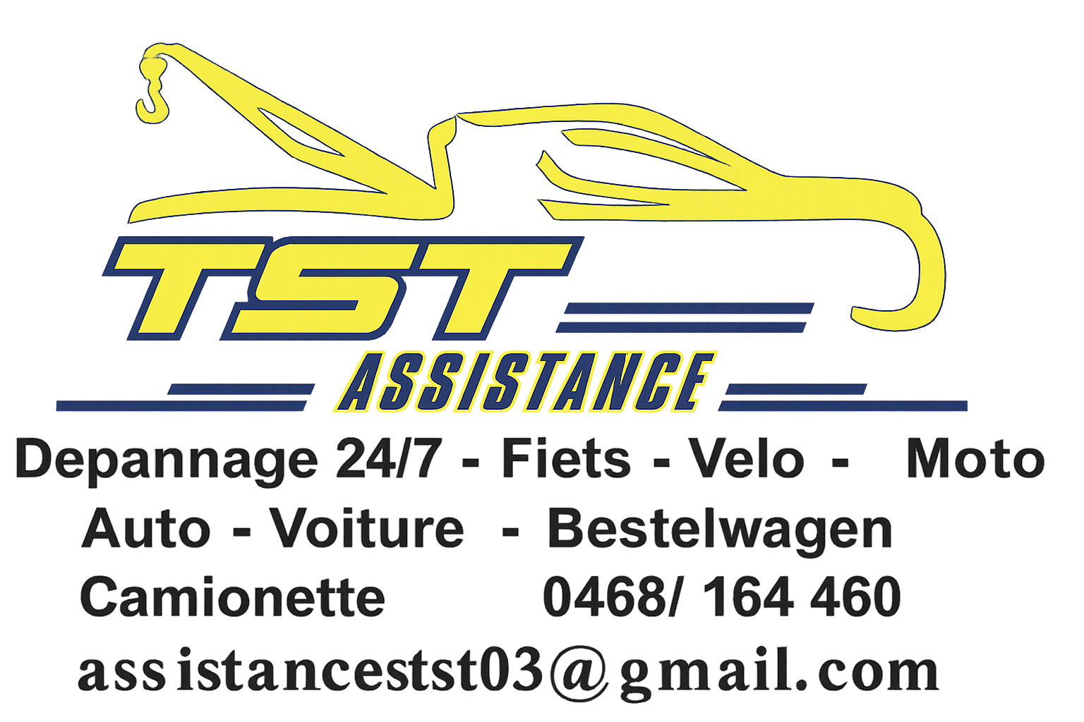 Logo TST Cars